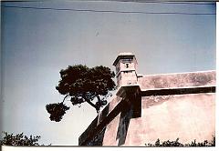ORAN LA GUERITE 1963